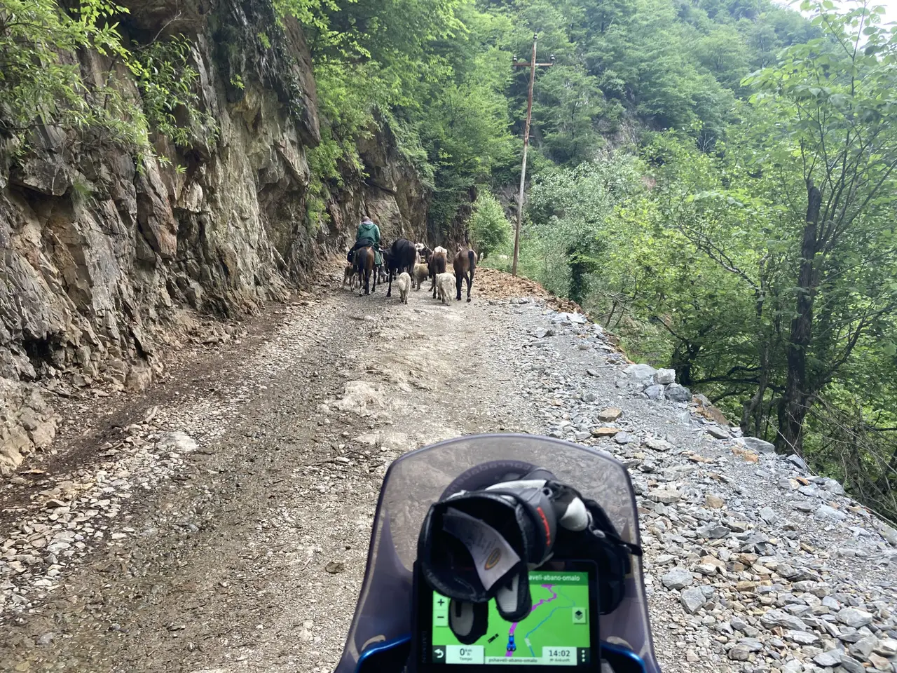 Foto von der Tour Georgien
