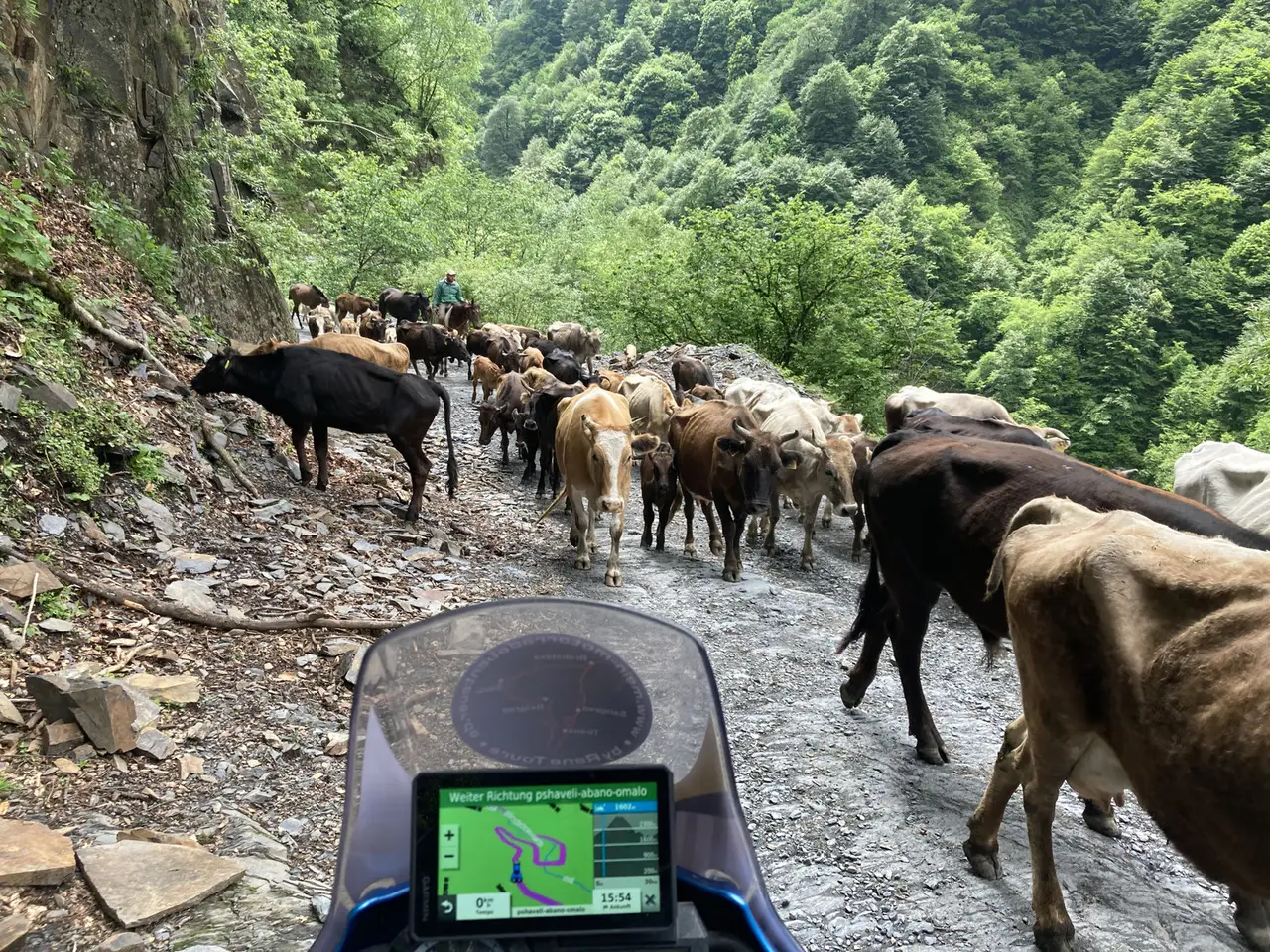 Foto von der Tour Georgien